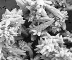 کربنات کلسیم رسوب شده (PCC) کربنات کلسیم رسوب شده (PCC)